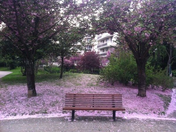 jardin