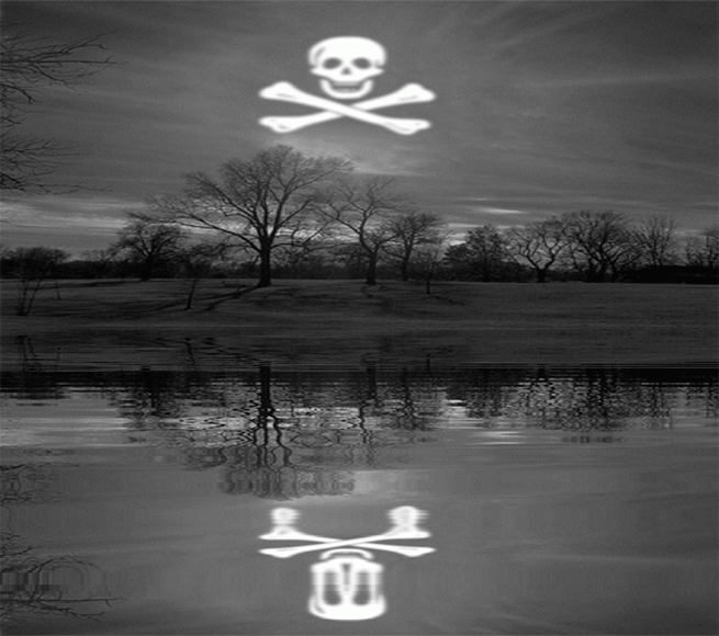 Le soleil pirate